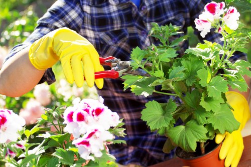 Overgrown garden cleared in Northumberland Heath