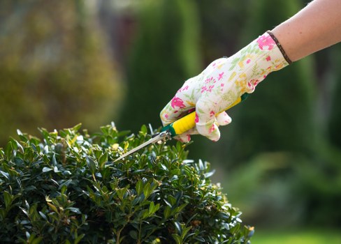 Gardening work in a Northumberland Heath home garden