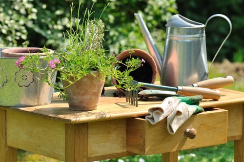 Local gardener maintaining plants in Northumberland Heath