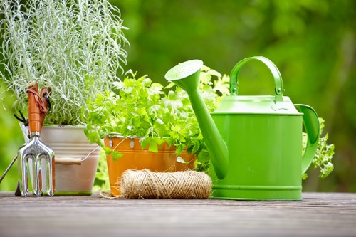 Local lawn mowing service for tidy outdoor spaces in Northumberland Heath