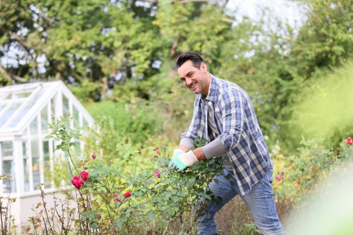 Lawn care and garden upkeep by local gardeners in Northumberland Heath