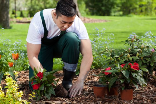 Analytics cookies and website performance monitoring for Northumberland Heath gardeners