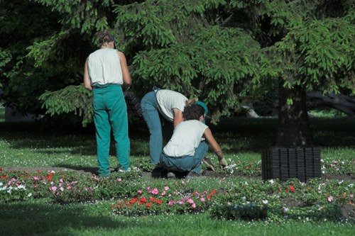 Cubic-yard pricing for a larger overgrown garden clearance