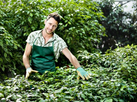 Payments and cancellations section for gardening services