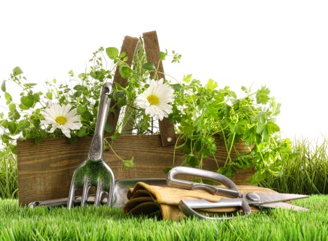 Seasonal lawn maintenance tools for Northumberland Heath gardens