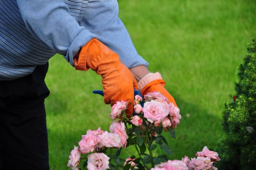 Low-maintenance front garden landscaping in Northumberland Heath