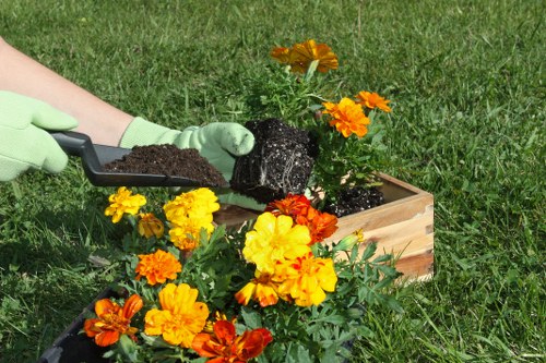 Healthy lawn care as part of garden maintenance in Northumberland Heath