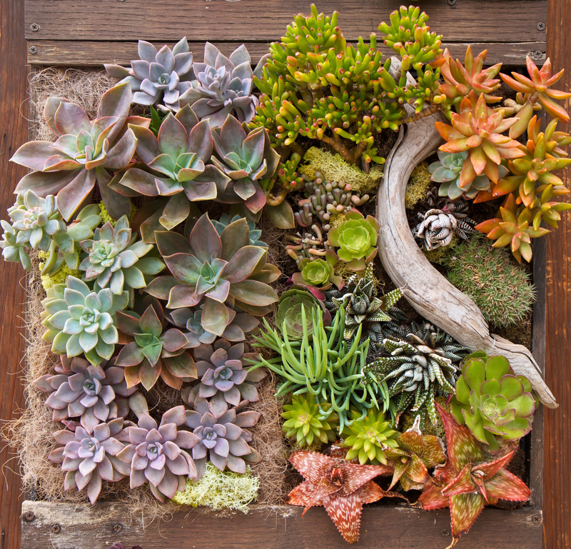 landscape design Garden
